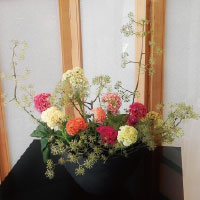 鶏頭と独活の花