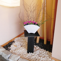 芽吹き