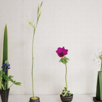 一輪の花の構成