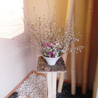 彼岸桜