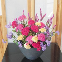 鶏頭の花