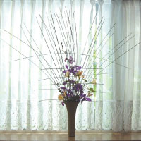 窓辺の花