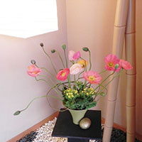 芥子の花