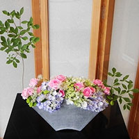 アジサイのくばり