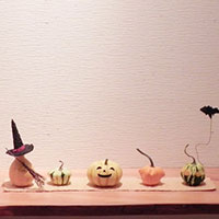 かぼちゃたち