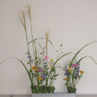 布川明子作品