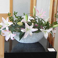 ７月の百合