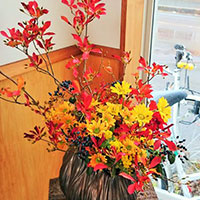 ドウダンの紅葉