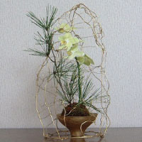 小岩さおり作品