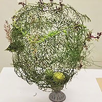 グリーンの造形