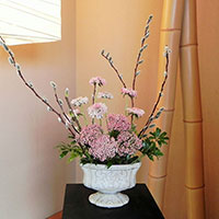 3月の光