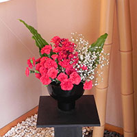 紅白の花