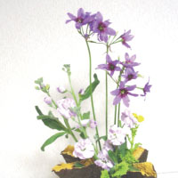 ２月講習会