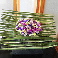 スターチスの花