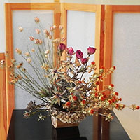 ドライの花