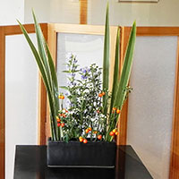 秋へ