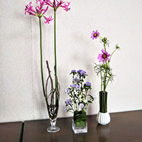 レッスン花くばり