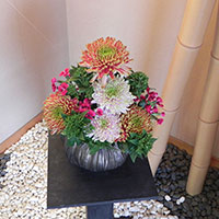 菊の秋
