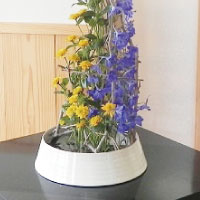 夏越の節句