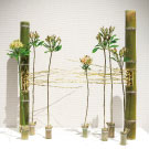 作品1