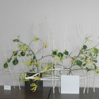作品展西澤由美子